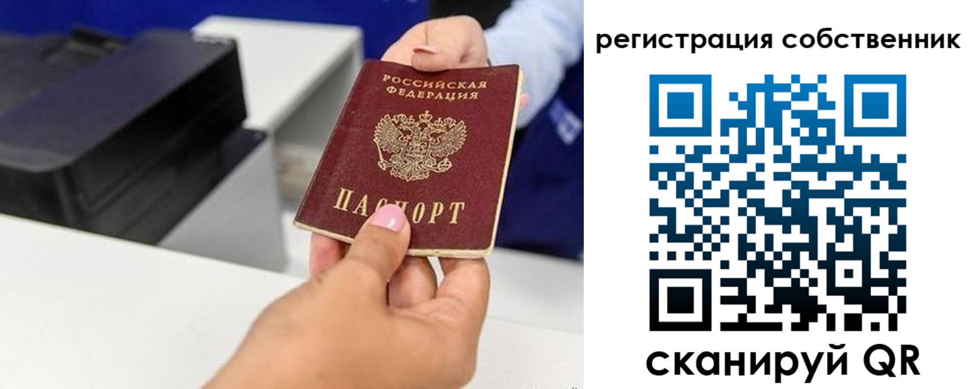 прописка для школы в Чудово